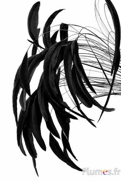 Coquetip - 25-30 cm - nero rondine